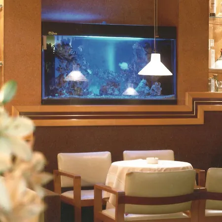 Mel 3* 卡洛泽科泰